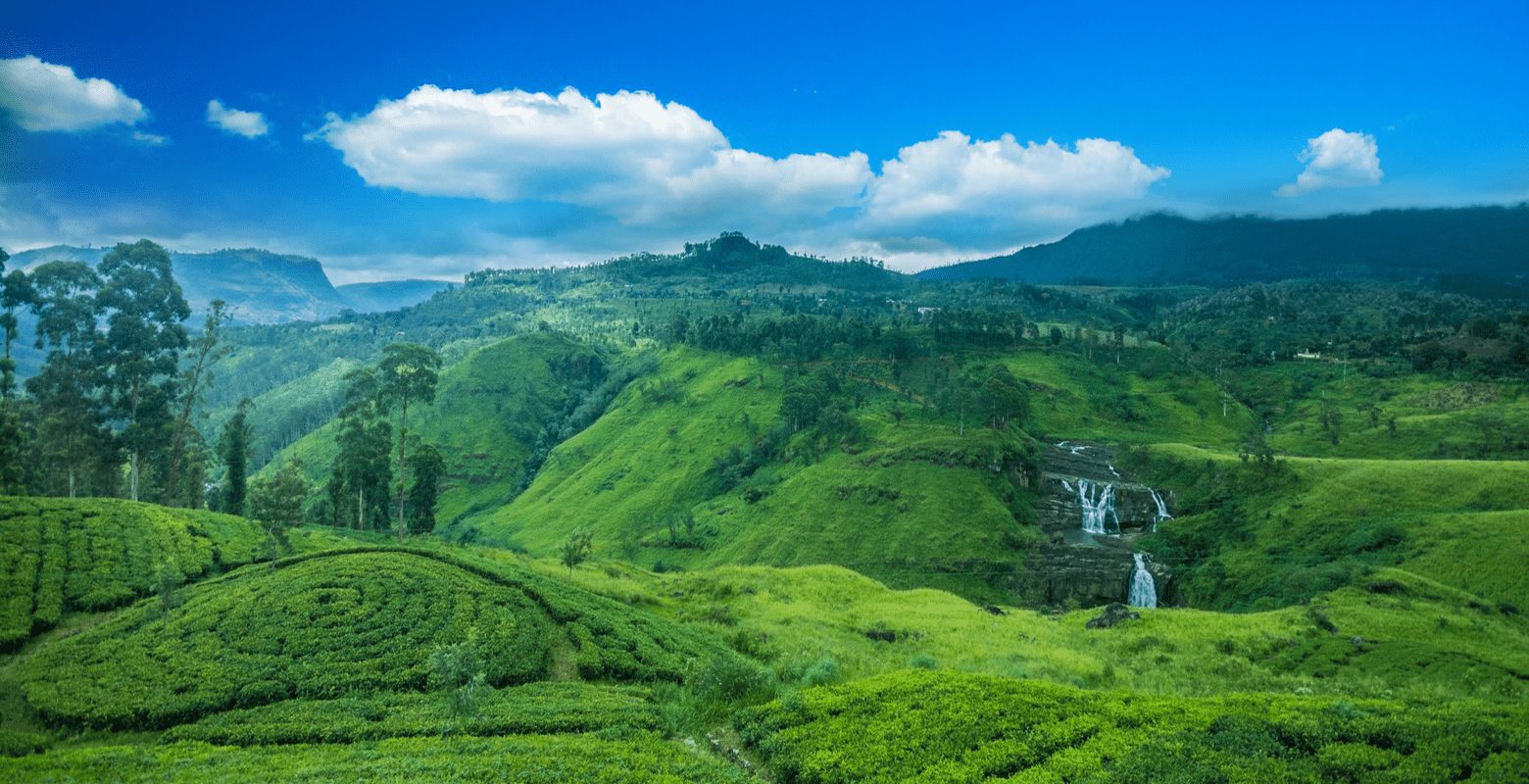 10 reasons to visit Sri Lanka cover photo featuring lush vegetation