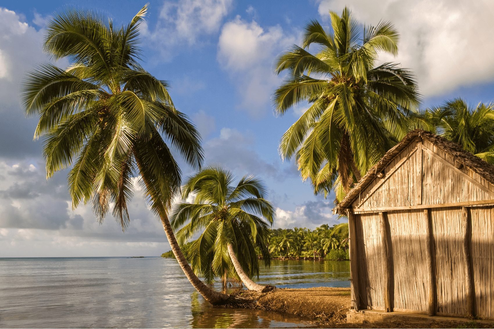 Nosy Boraha Island, also known as Sainte Marie Island, in Madagascar has a few palm trees extending up from the ground next to a stick hut