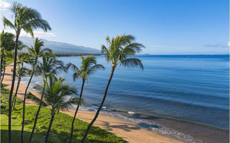 Image of the beach and palm trees in Kihei as a suggestion for where to stay in Maui