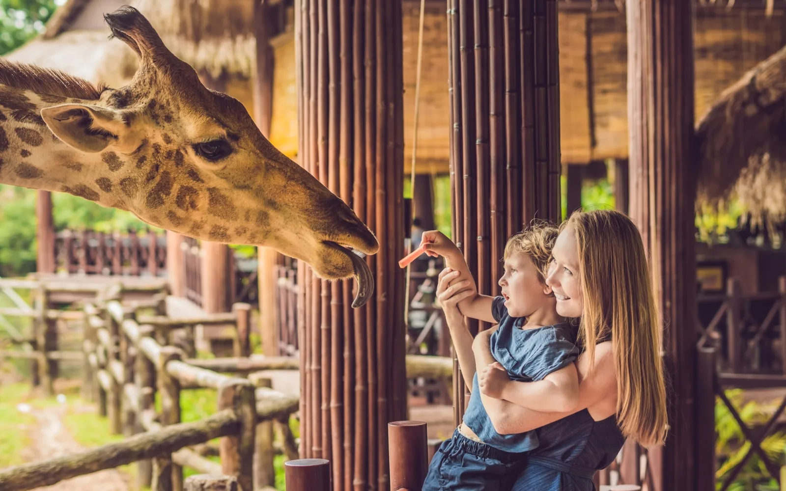 Jeg spiser morgenmad svamp Der er behov for The 15 Best Zoos in the World in 2023 | Travellers 🧳