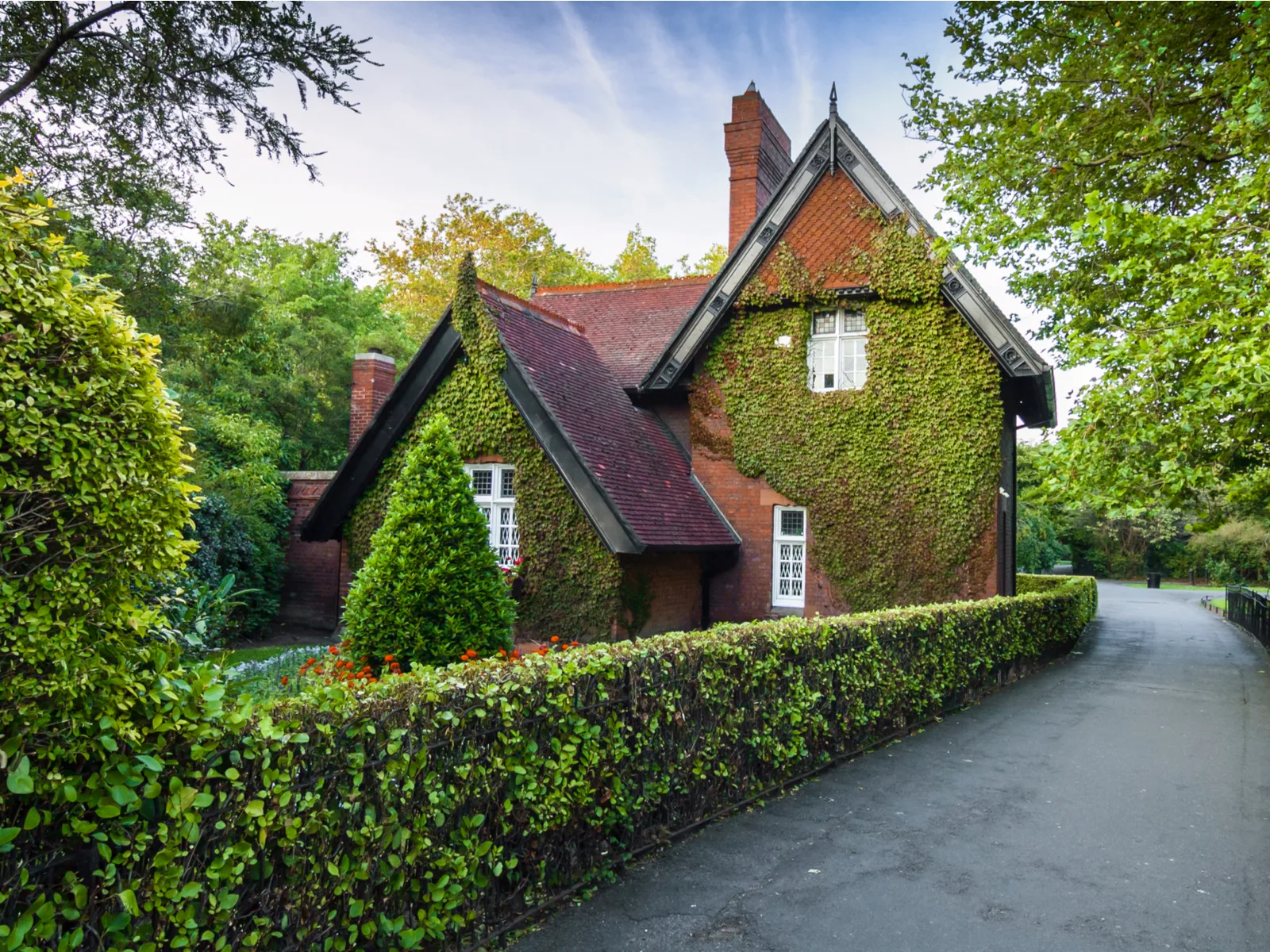 Mysterious house covered in vines in Dublin, one of the best places to visit in Ireland