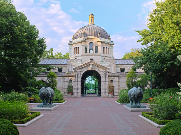 🦁 The 14 Best Zoos in the U.S. in 2024 (Our Top Picks)