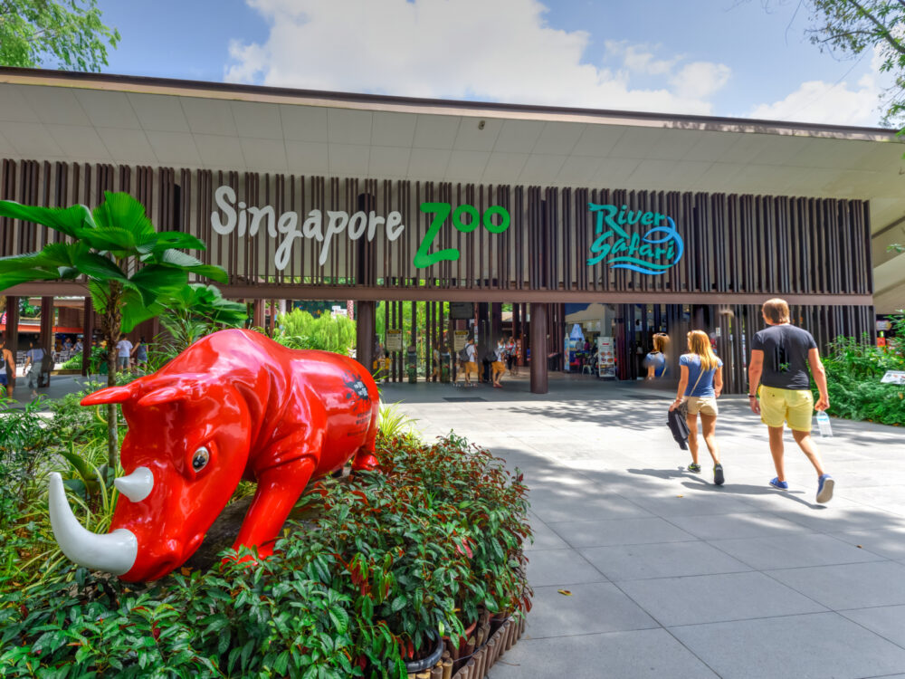 Visitors walk into the Singapore zoo, just outside the entrance