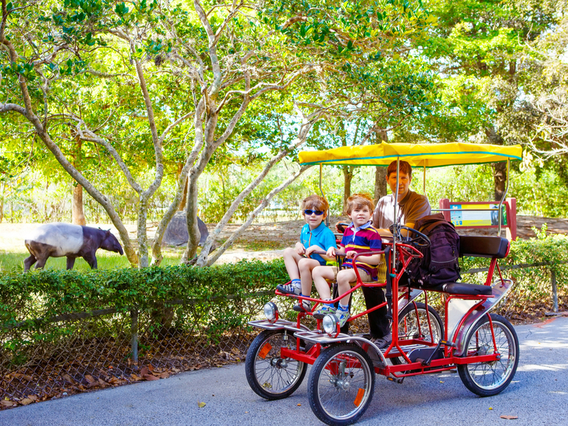 Kiddos sit on the child seat on a four wheeled bicycle while a mom pedals outside the aardvark exhibit at the Zoo Miami