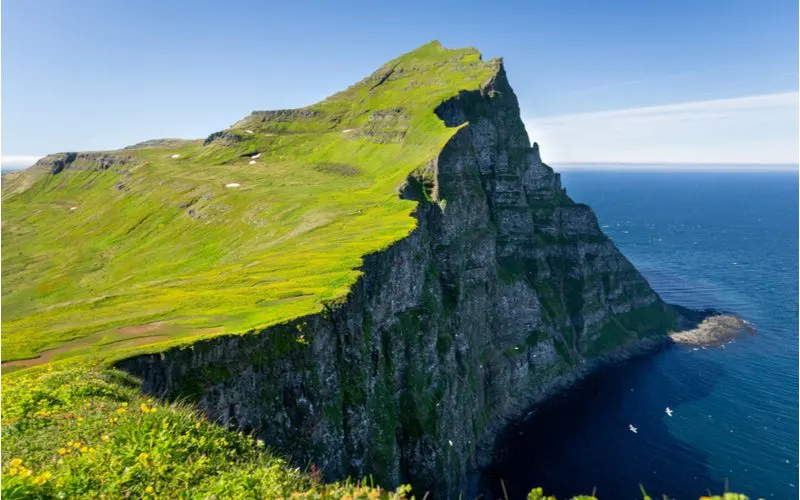 The Hornstrandir Trek, a top thing to see in Iceland, in an expansive shot of the Hornbjarg cliffs towering over the ocean