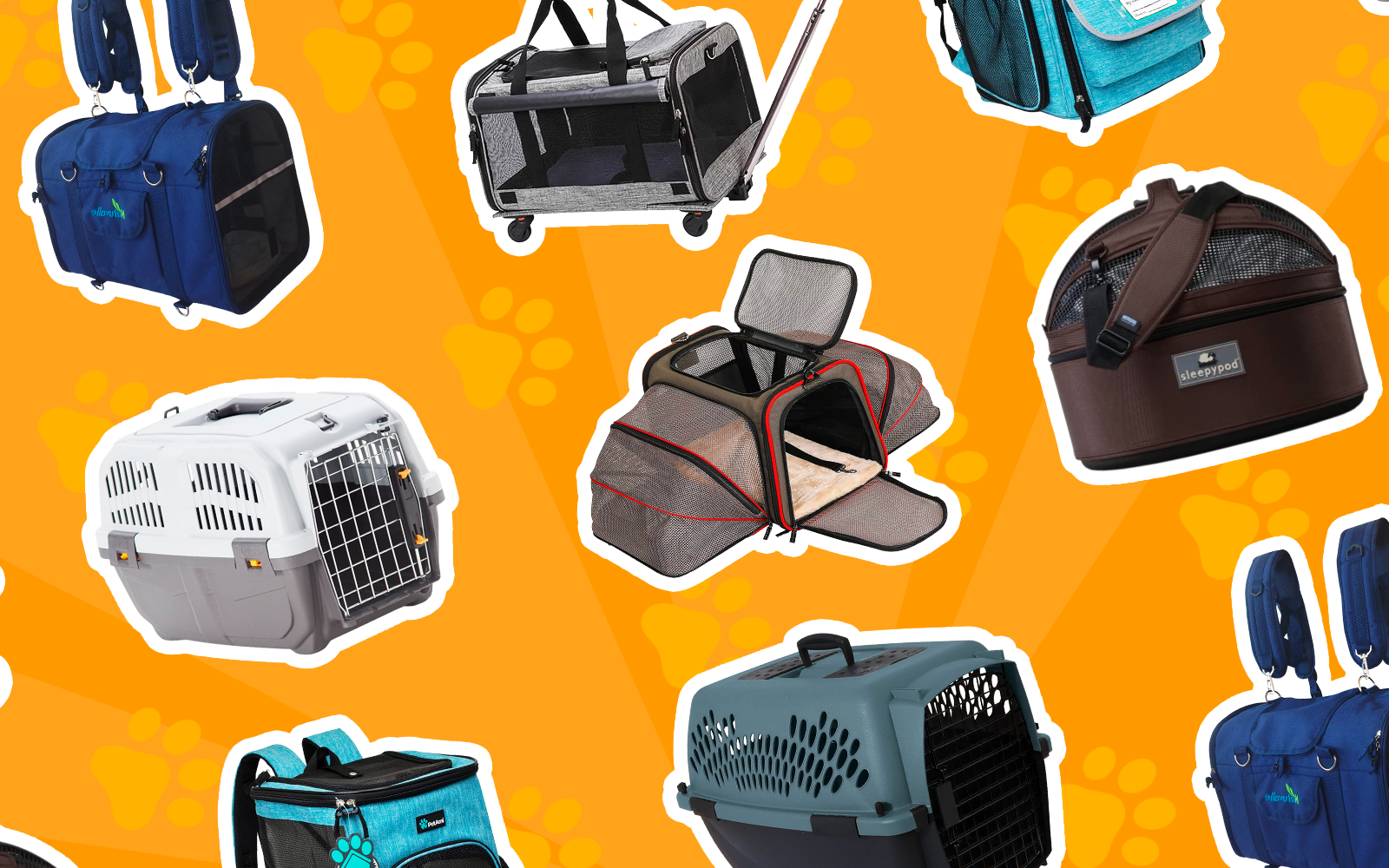 Best airline-approved pet carriers in a layflat image