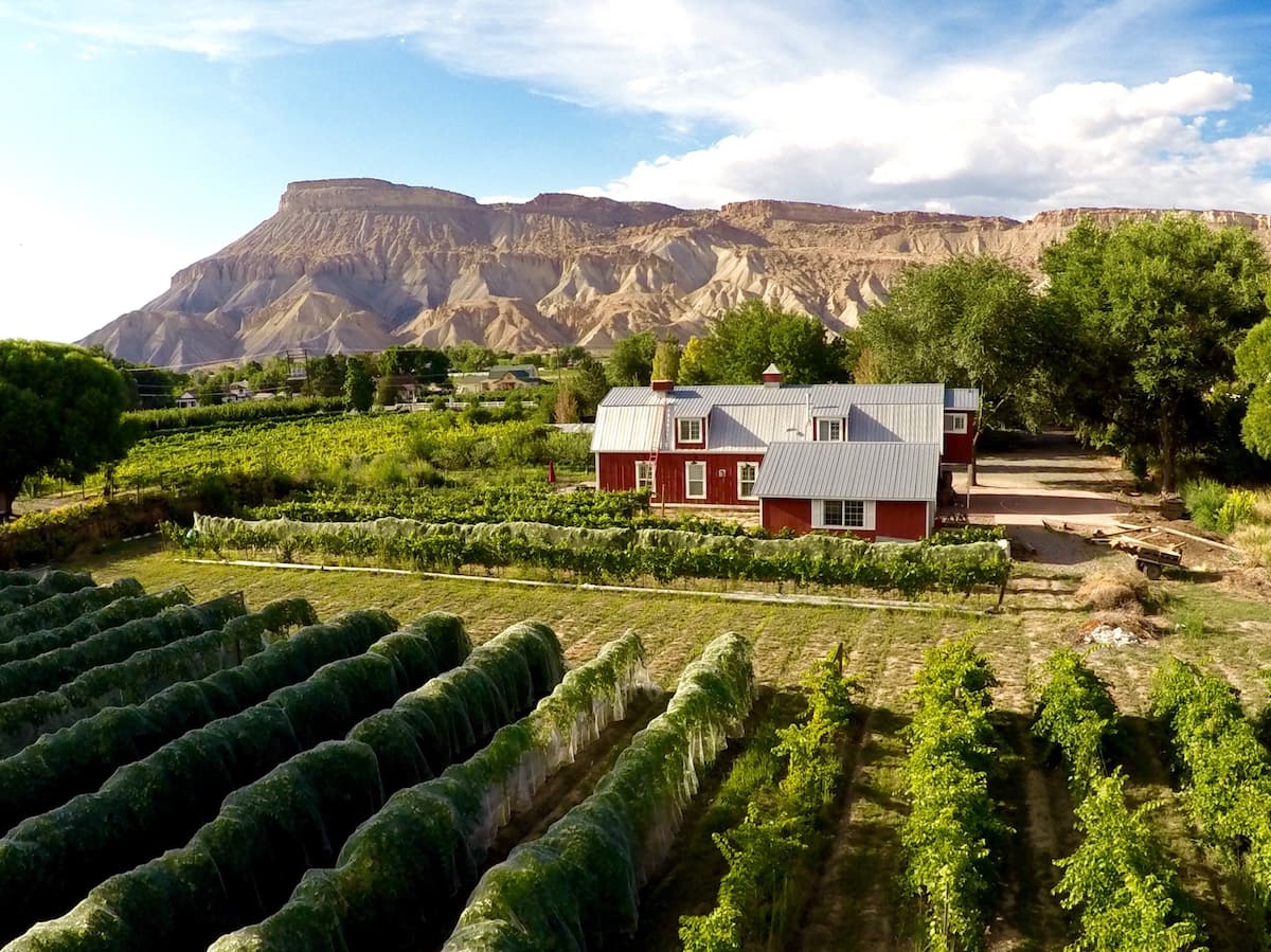 Best Airbnb in Colorado Vineyard Barn House
