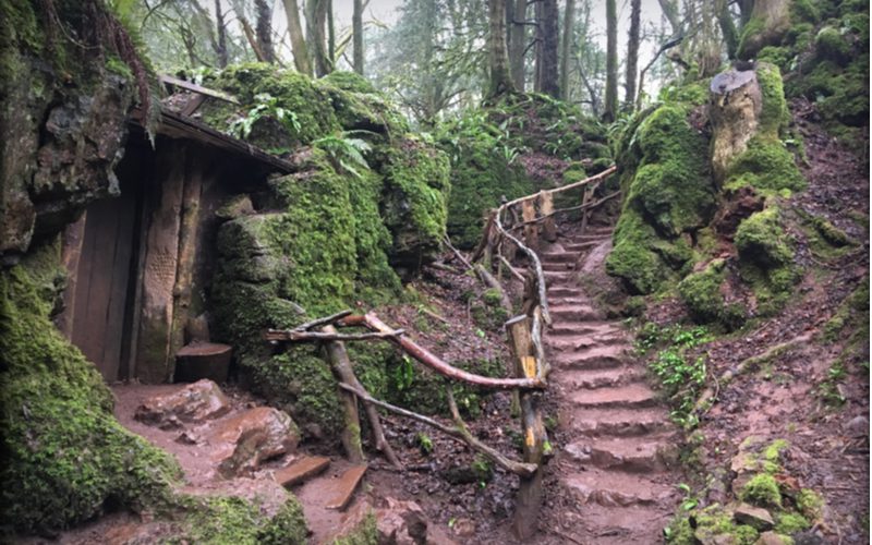 Steps in the Puzzlewood, a Star Wars filming location, where The Force Awakens was filmed where Rey and BB-8 ran through Takodana before meeting Kylo Ren
