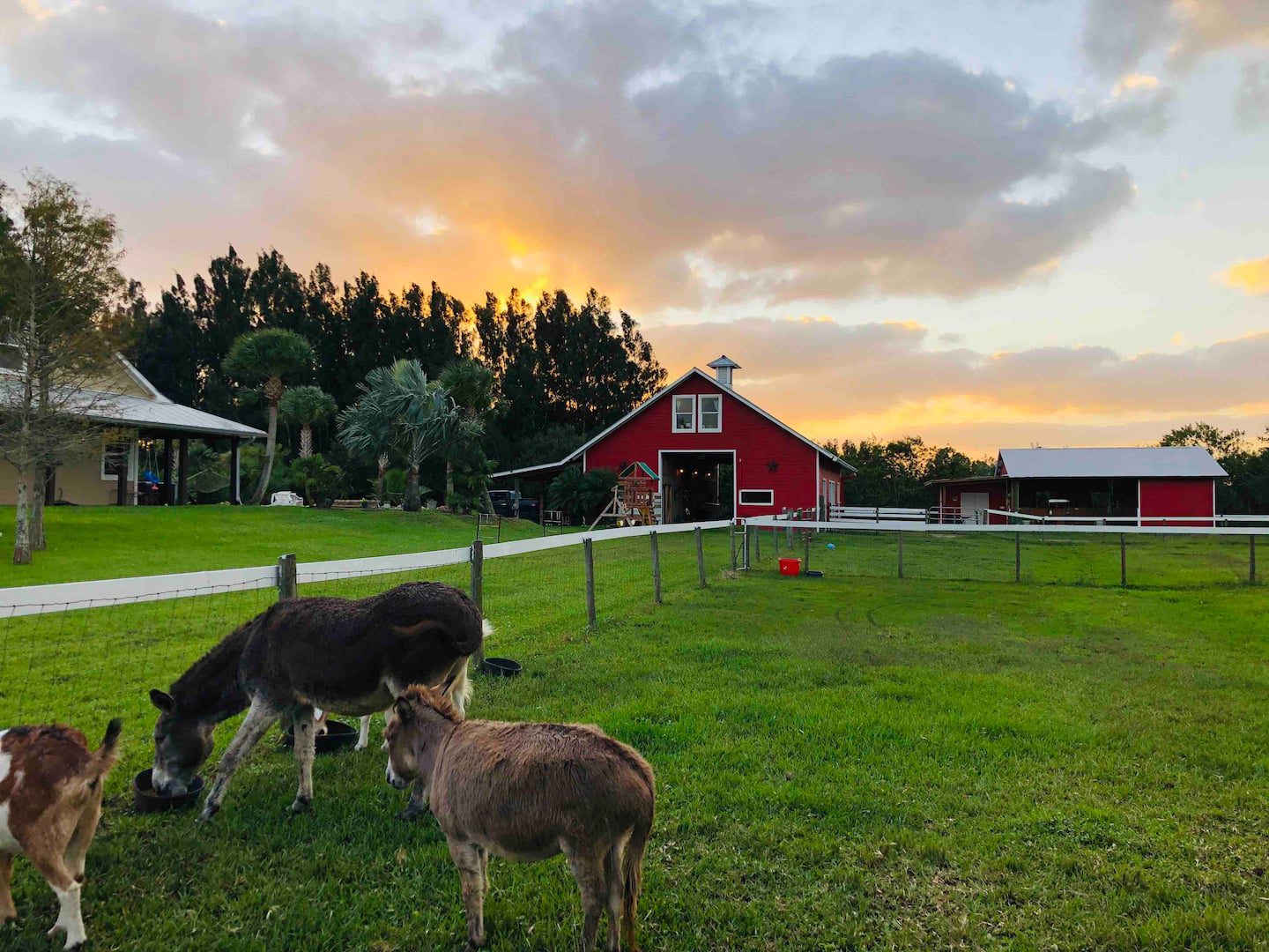 Pura Via farm room, one of the most unique and best Airbnb Stays in Florida