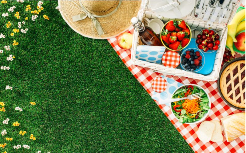The best picnic basket lying on a checkered blanket on green grass