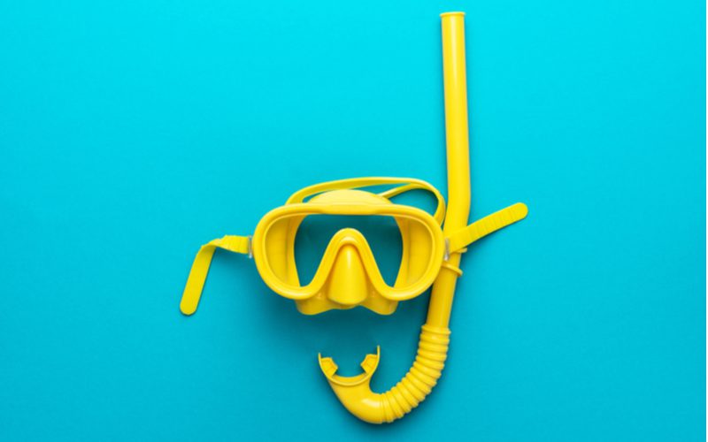 Photo of a snorkel mask lying on a blue table
