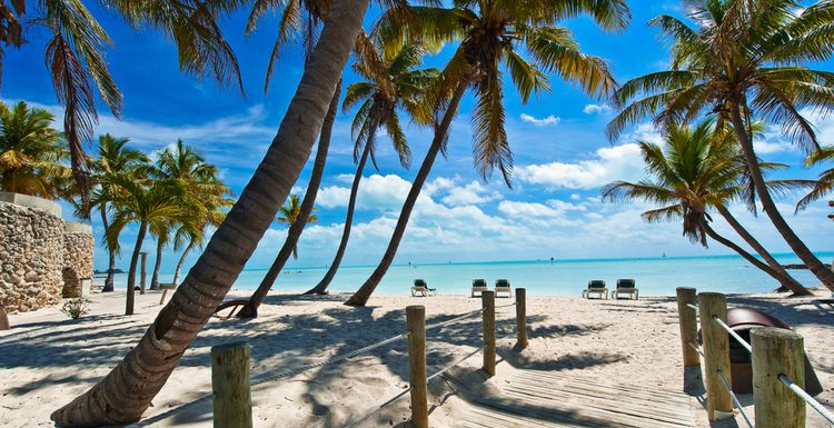 The 15 Best Airbnbs in Florida in 2023
