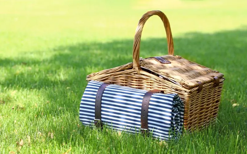 Best picnic basket sitting in the middle of a lawn