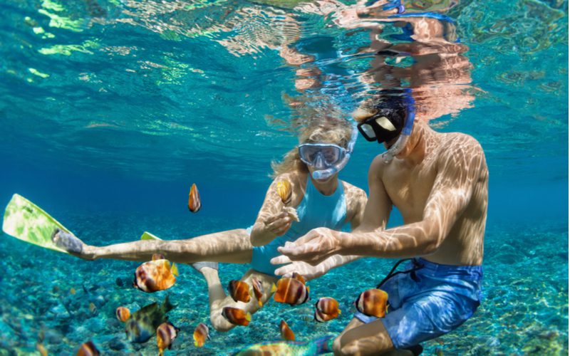 Happy man and woman using the best snorkel masks to feed fish