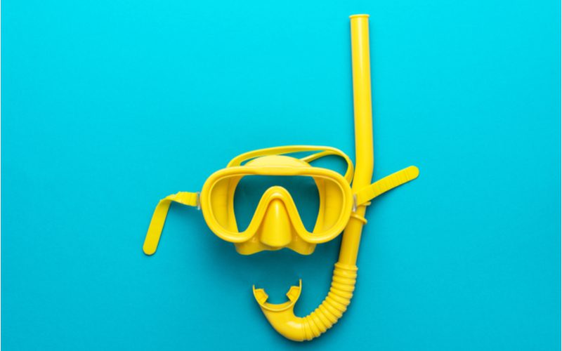 Best snorkel gear on a blue background