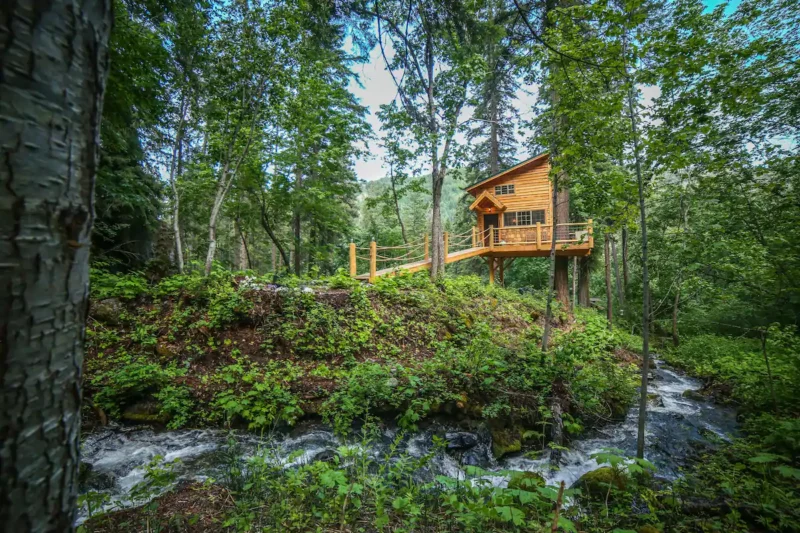 A top pick for the best Airbnb in Washington State, Hansel Creek Gust Tree House