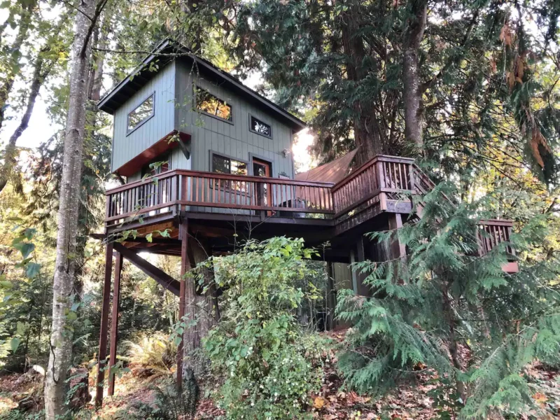 One of the best airbnbs in Washington State, a treehouse with panoramic views in Olympia