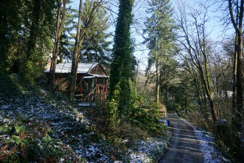Tiny Tipsy Cabin, a top pick for the best Washington State Airbnb