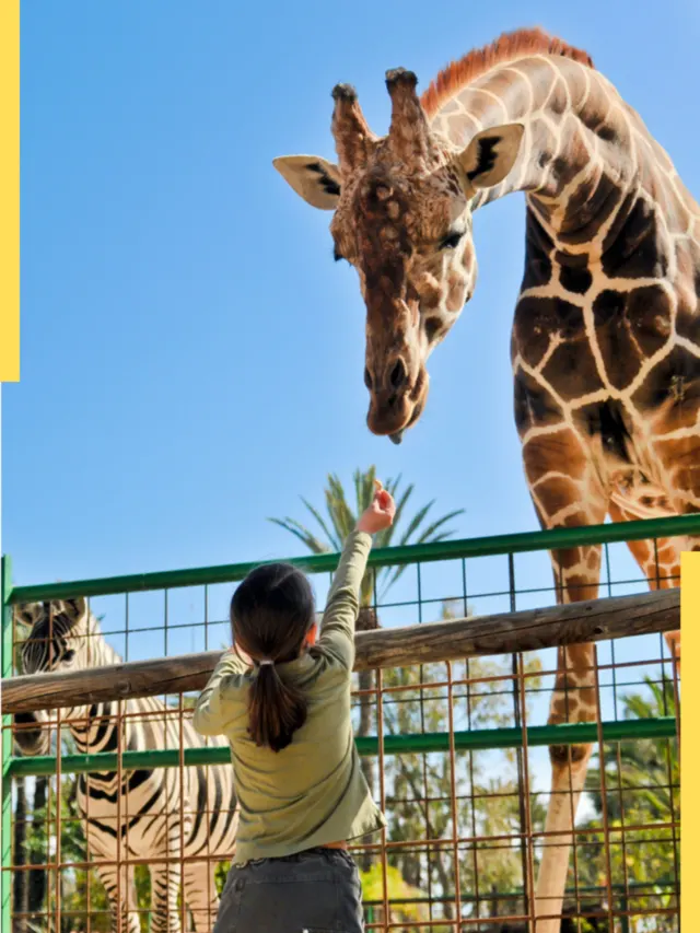 14 Best Zoos in the United States