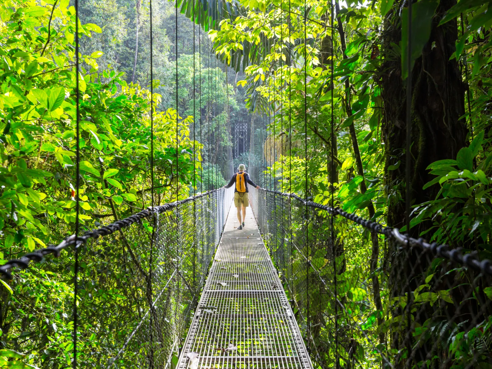 Woman exploring the rainforest in one of the best places to stay in Costa Rica