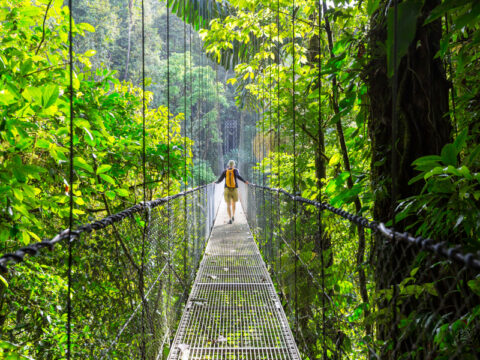 The Best Worst Times To Visit Costa Rica Updated For 2024   Shutterstock 1006962364 480x360 