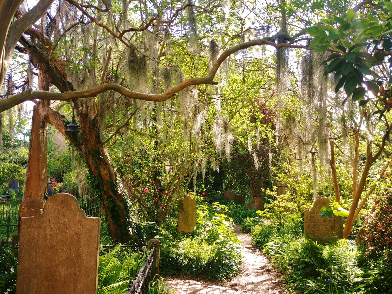 Graveyard in Charleston, one of the best things to do in the city