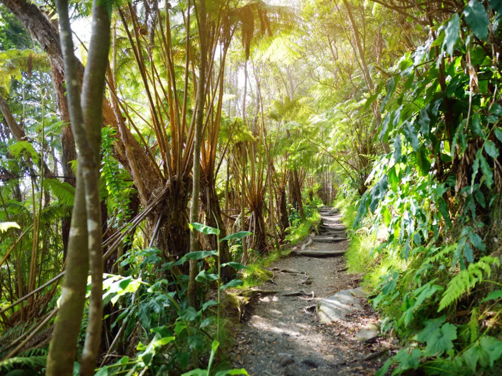 Man completing one of the best hikes in Hawaii, the Kalaupapa Peninsula Trail, one of the best hikes in Hawaii