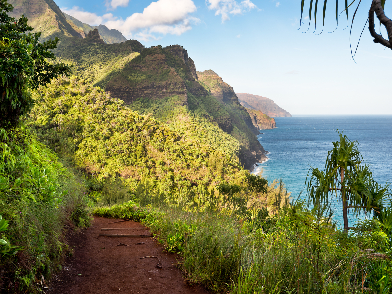View from one of the best hikes in Hawaii, the Kōkeʻe State Park, one of the best hikes in Hawaii