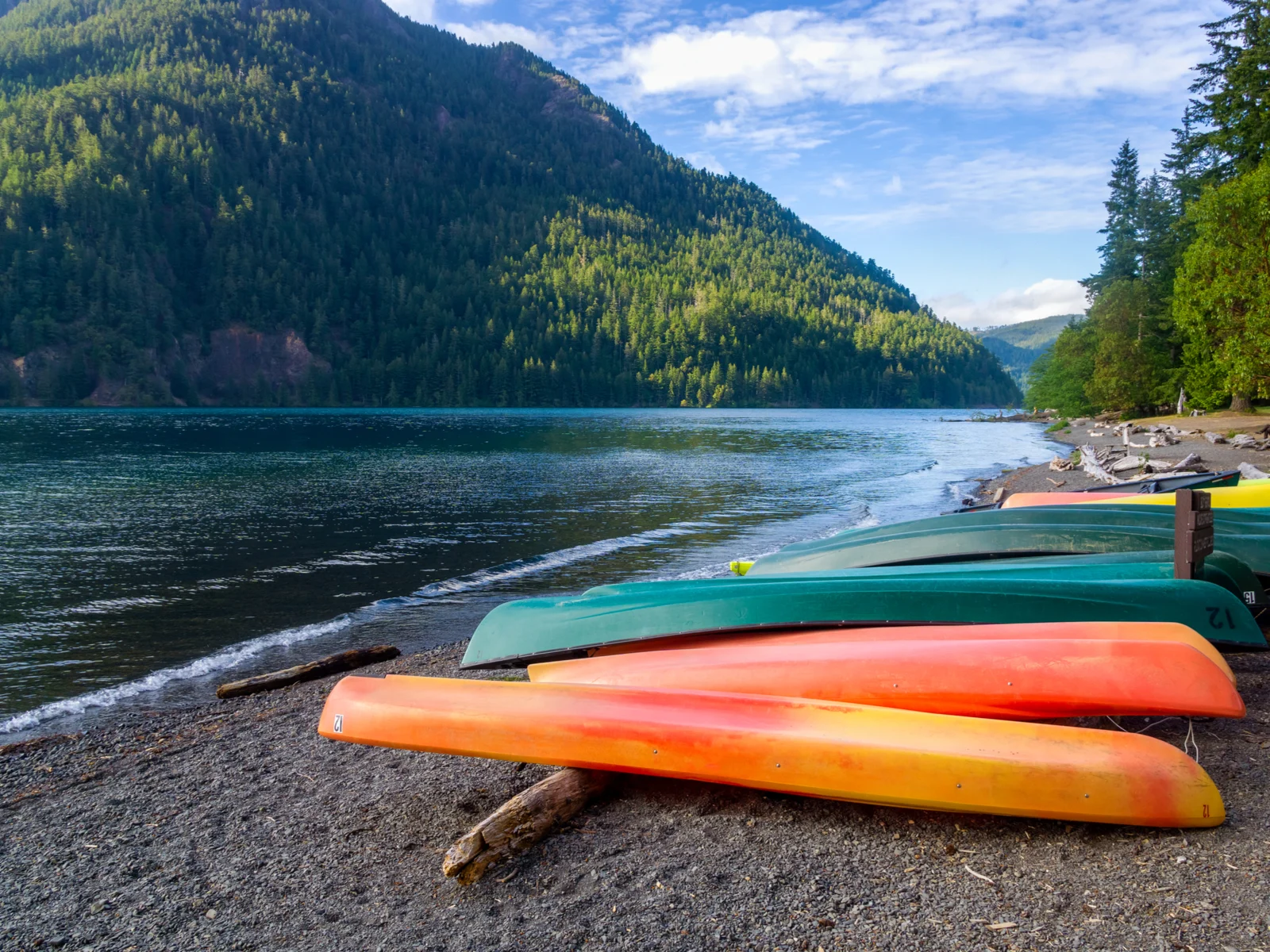 Cool view of canoes at the Olympic National Park