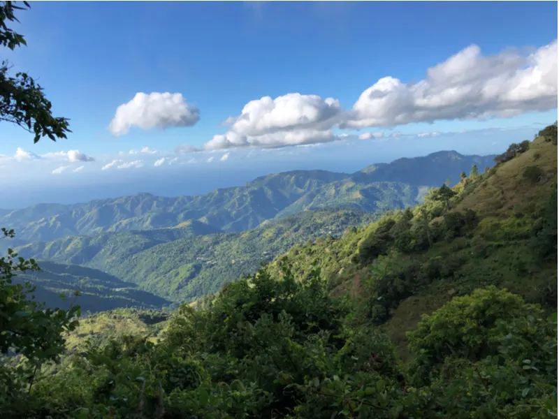 Blue and John Crow Mountains National Park, one of the Best Places to Visit in Jamaica