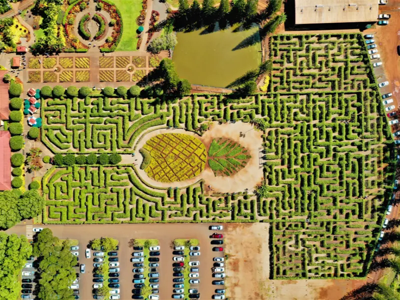 Dole plantation, one of the best places to visit in Hawaii, as viewed from above