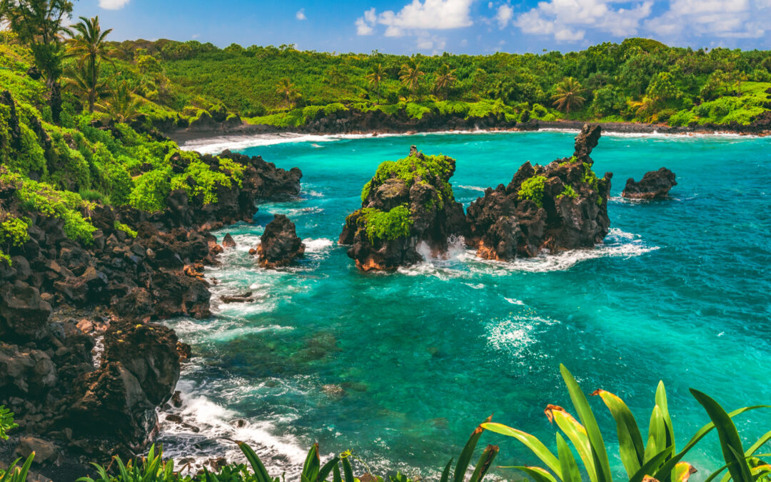 📅 The Best & Worst Times to Visit Maui (Updated for 2024)