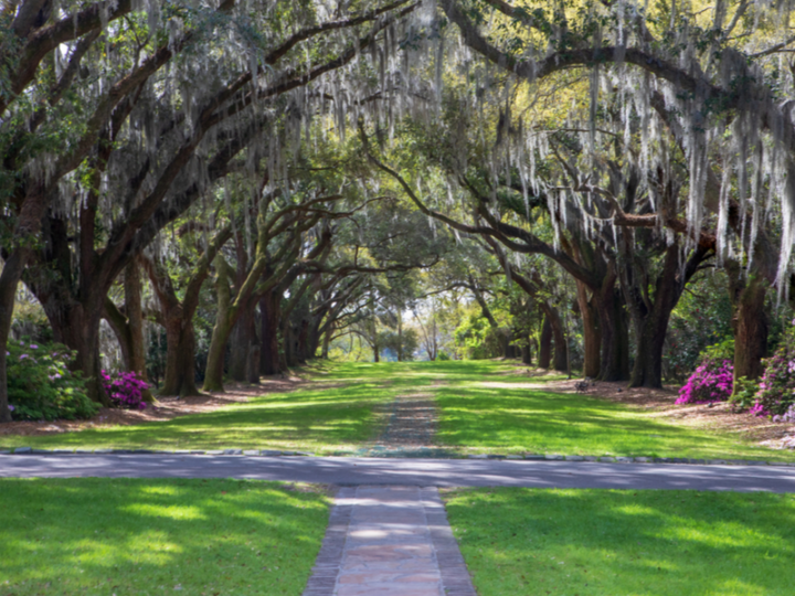 📍 Where to Stay in Charleston, SC in 2024 | 5 Best Areas