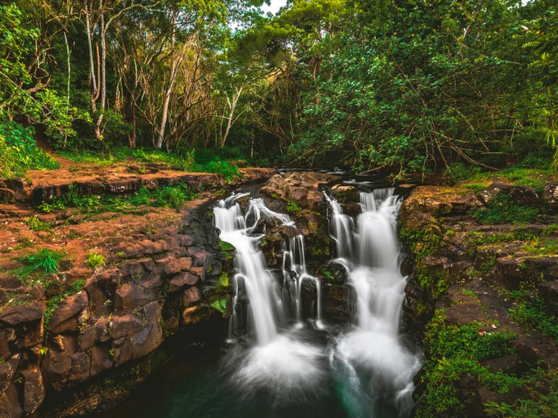 What you'll see on one of the best hikes in Kauai, the gorgeous Ho'opi'i Falls