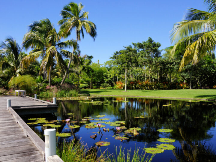 24 Best Botanical Gardens in Florida (Our Picks for 2024)