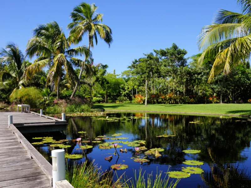 Naples Botanical Garden, one of the best botanical gardens in Florida