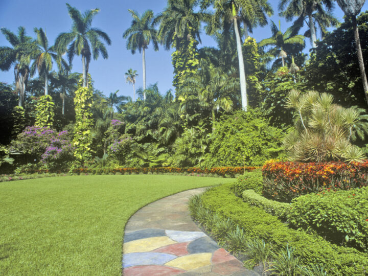 24 Best Botanical Gardens in Florida (Our Picks for 2024)