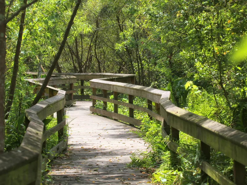 Mead Botanical Garden, one of Florida's best, with a path through the woods