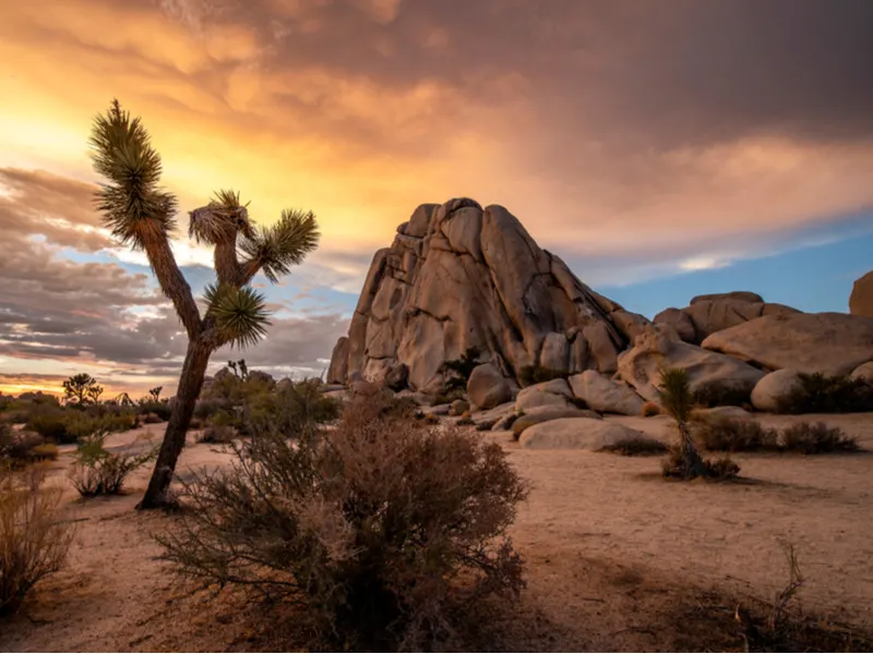 Joshua Tree National Park, one of the best in the USA, at sunrise with a gorgeous view of the rocks