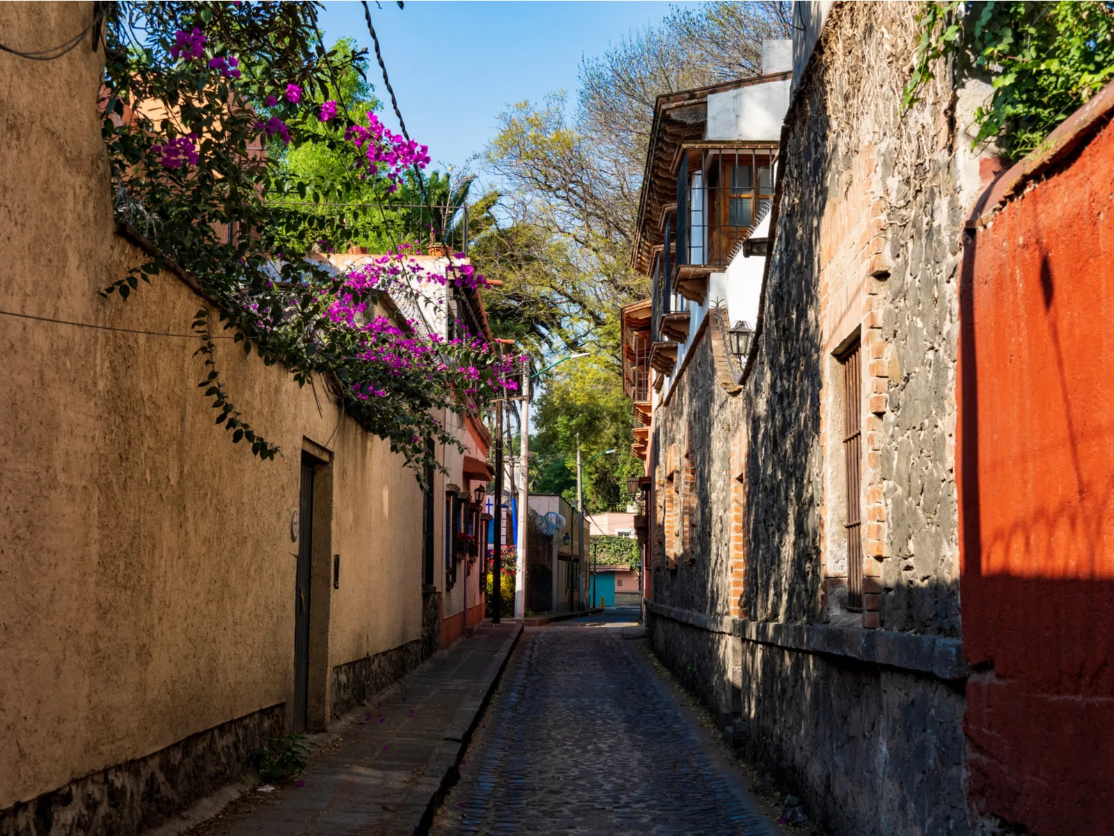 Coyoacán, one of the best places to stay in Mexico City