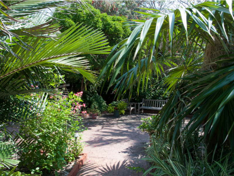 Key West Tropical Forest & Botanical Garden, one of the best botanical gardens in Florida
