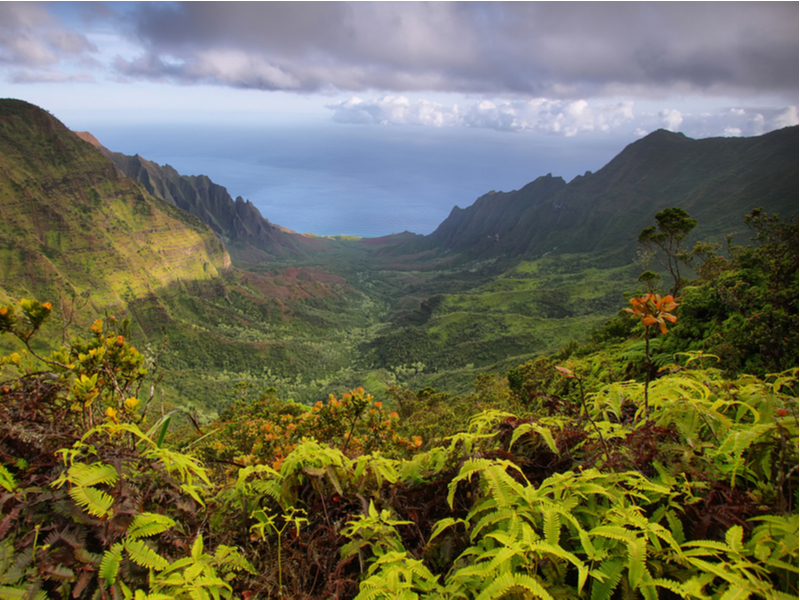 Lookout from the Kukui Trail, one of our top picks for the best Kauai hikes