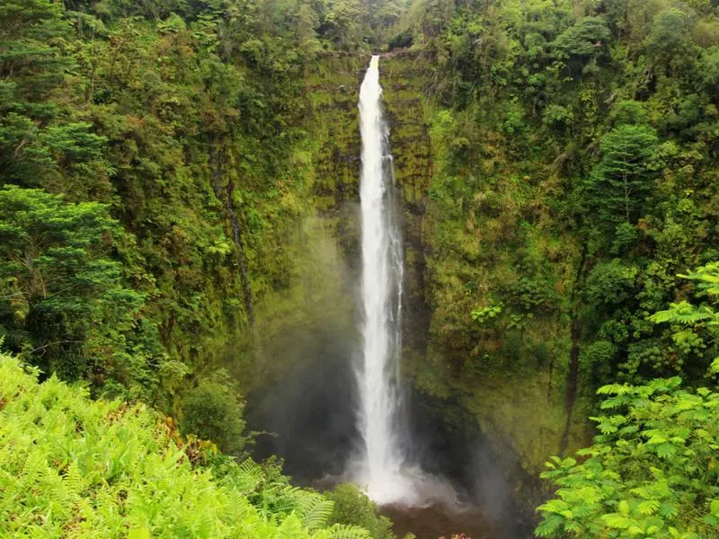 Waterfalls at Akaka Falls State Park, one of the best things to do on a Hawaiian vacation