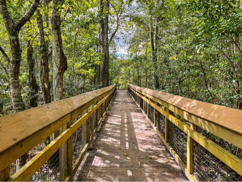 Jacksonville Arboretum & Gardens, one of the best botanical gardens in the state of Florida