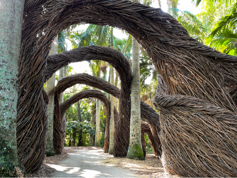 Artistic abstract walkway with roots in one of the best botanical gardens in Florida in Vero Beach