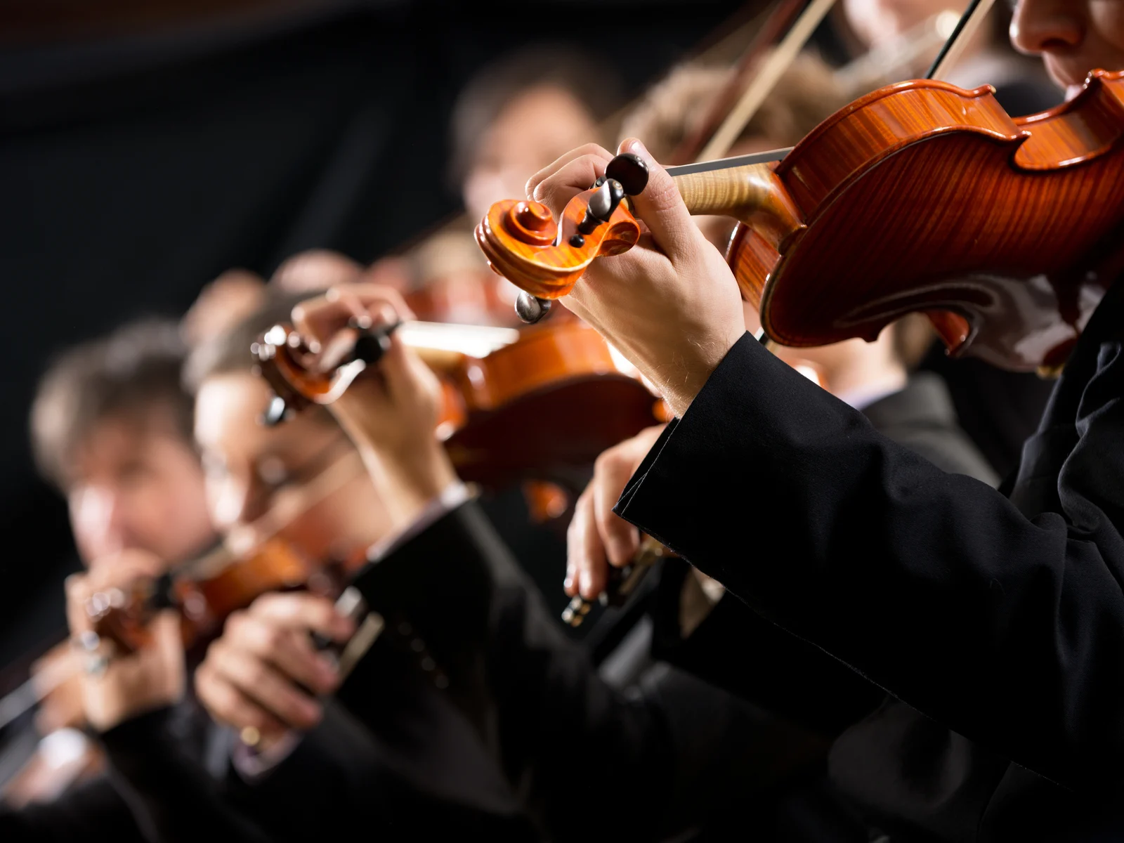 Close up of a symphony playing at the Charleston Music Hall