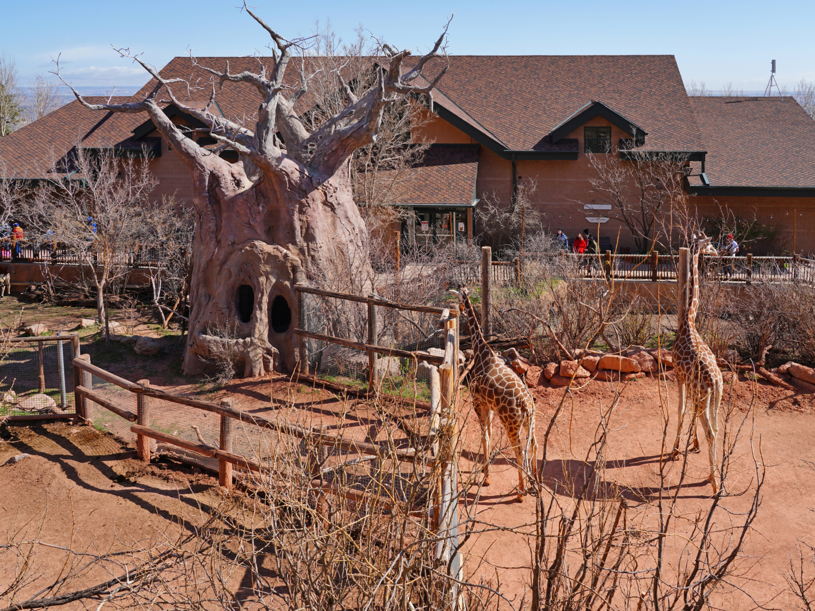 Cheyenne Mountain Zoo, one of the top picks for the best things to do in Colorado