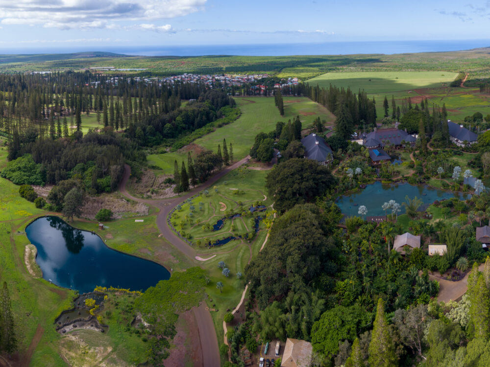 Koloiki Ridge trail in Lanai, one of the best Hawaiian hikes