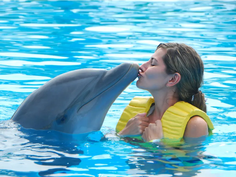 Woman swimming with dolphins in Discovery Cove, one of the best things to do in Orlando