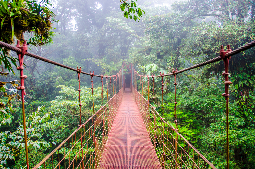 Rainy day in the aptly-named rainforest with low fog over a bridge in Monteverde